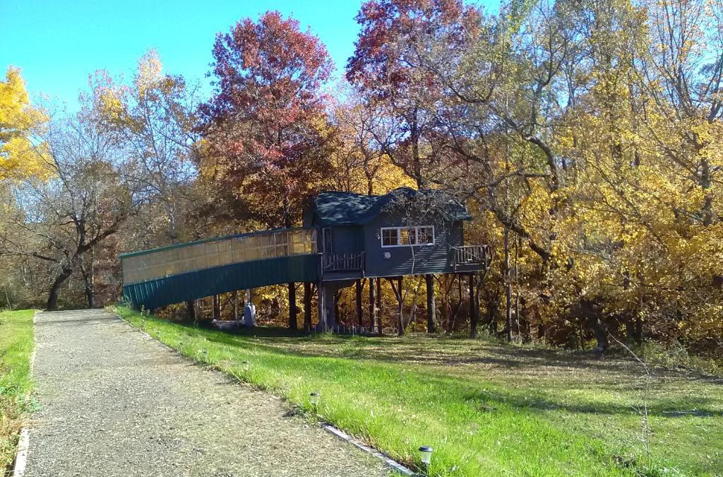 Cashton House | Peaceful Valley Haven Tree House