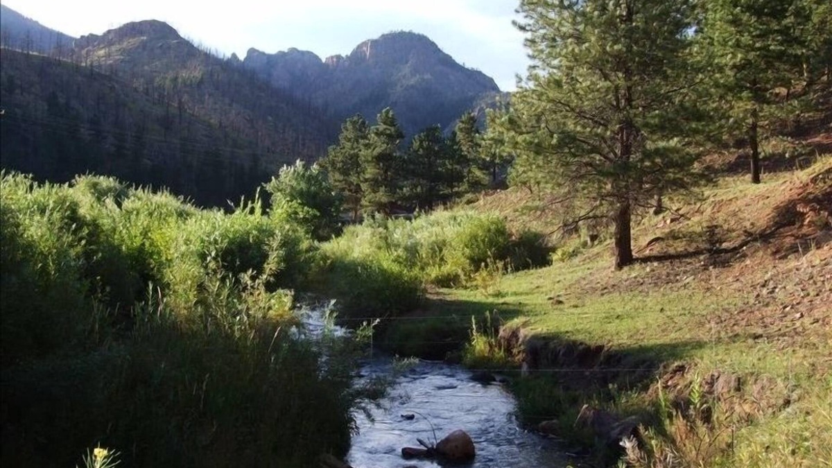 Westcreek Cabin | "Peaceful Valley Homestead" Hobby Farm & Mountain Paradise NEW HOT TUB!n