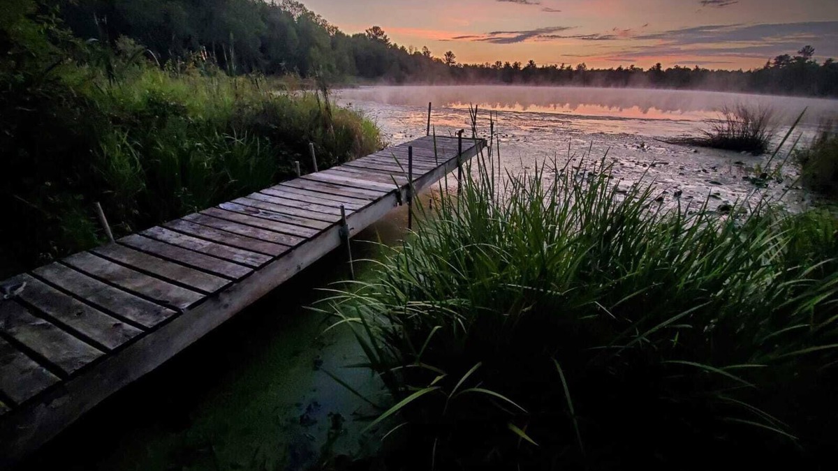 Ingalls Cabin | Peaceful Wooded Retreat on Lake Ann