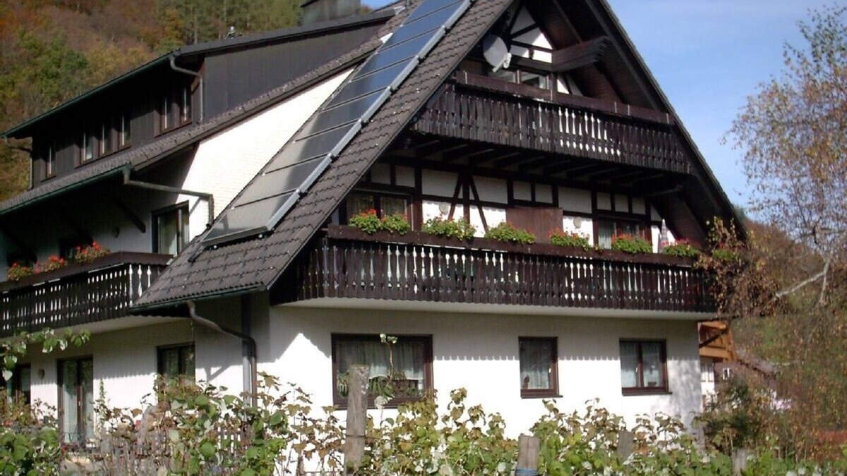 Bad Peterstal-Griesbach Apartment | Peacefully located comfortably furnished vacation apartment near the city center