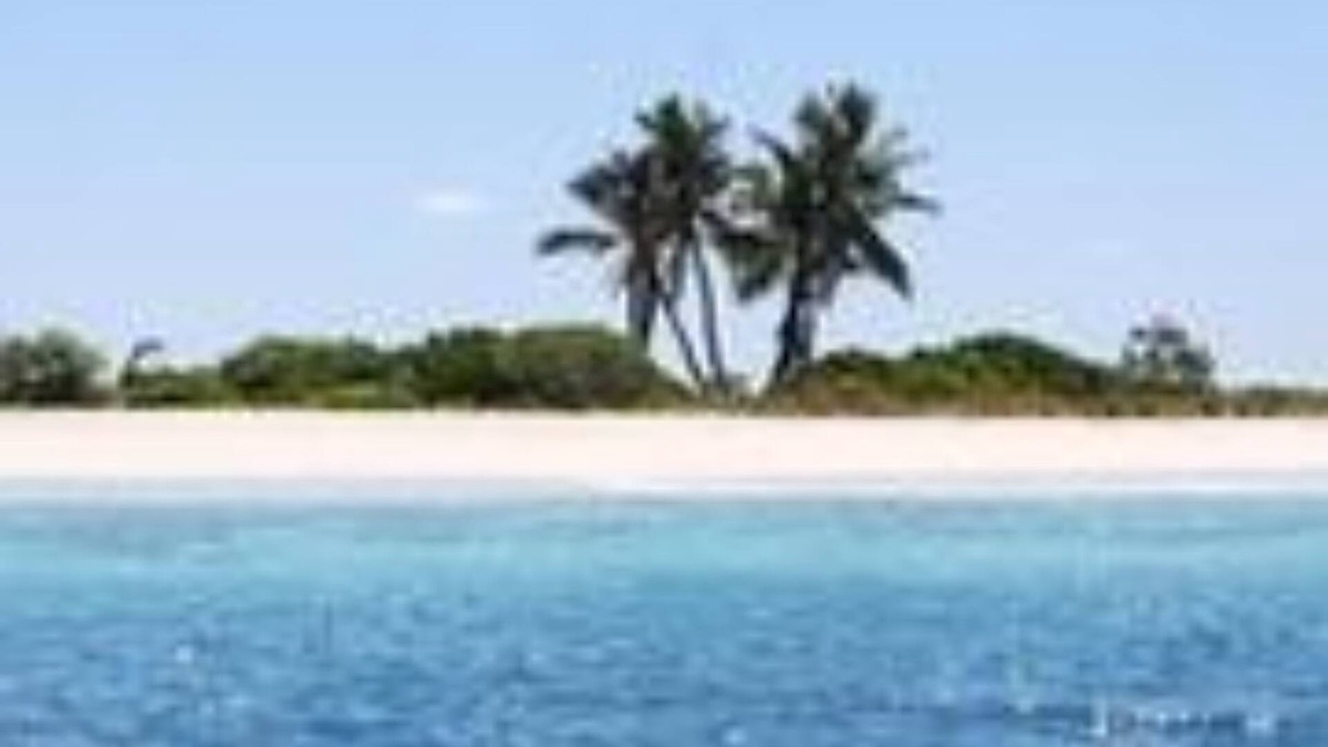 Nilandhoo Hotel | Pearl Beach View