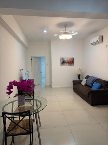 New Kingston Apartment | Pearl of the City LIGUANEA