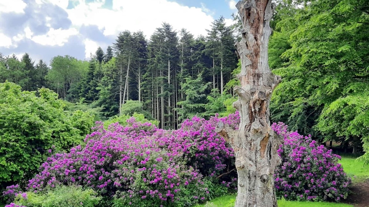 Torrig Bed & Breakfast | Pederstrup Bed and Breakfast