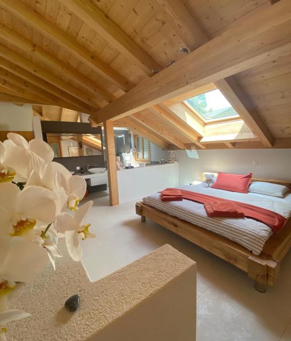 Zweisimmen Apartment | Pegasus