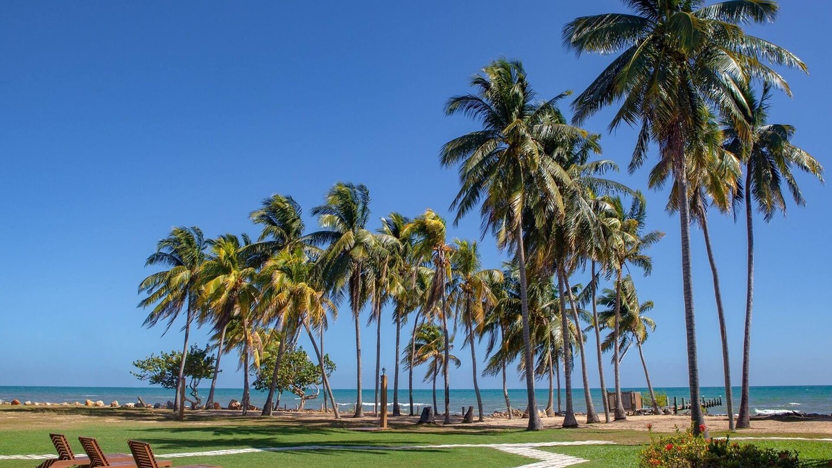 Dangriga Hotel | Pelican Beach Resort