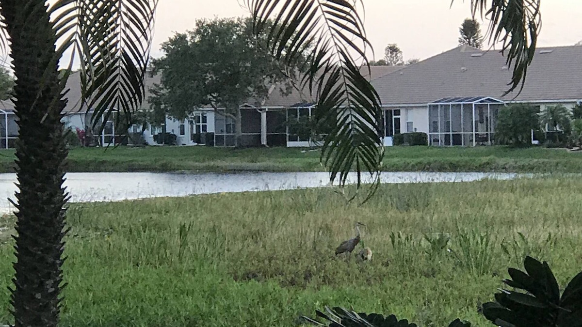 Venice Gardens Villa | Pelican Pointe Golf & Country Club-Rare 2 Bedroom/2 Bath Villa