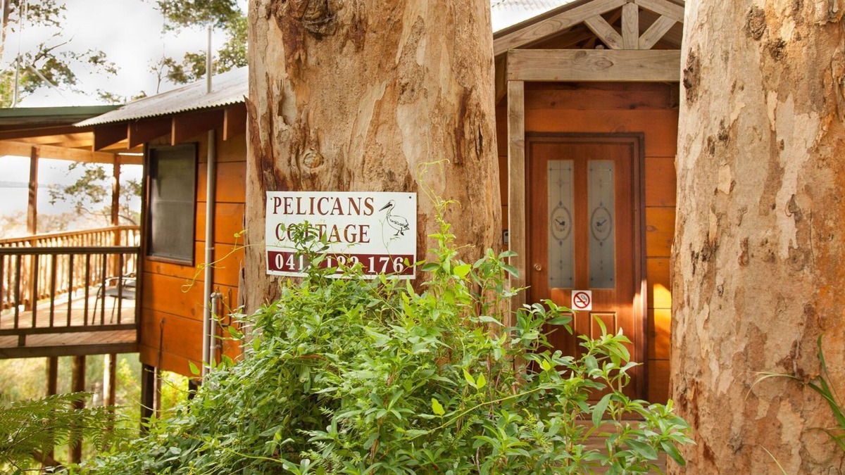 Denmark Cottage | Pelicans at Denmark Cottage