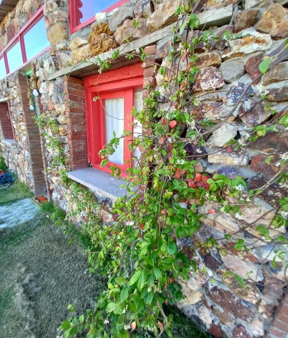 Ayvalik House | Pemba Butik