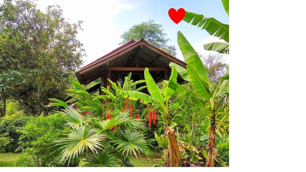 Pangmapha Ski Chalet | Pencave Homestay