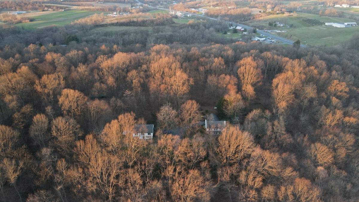 Refton Cottage | Pennsy Ridge Hideaway: Relax in our centrally-located wooded retreat w/hot tub