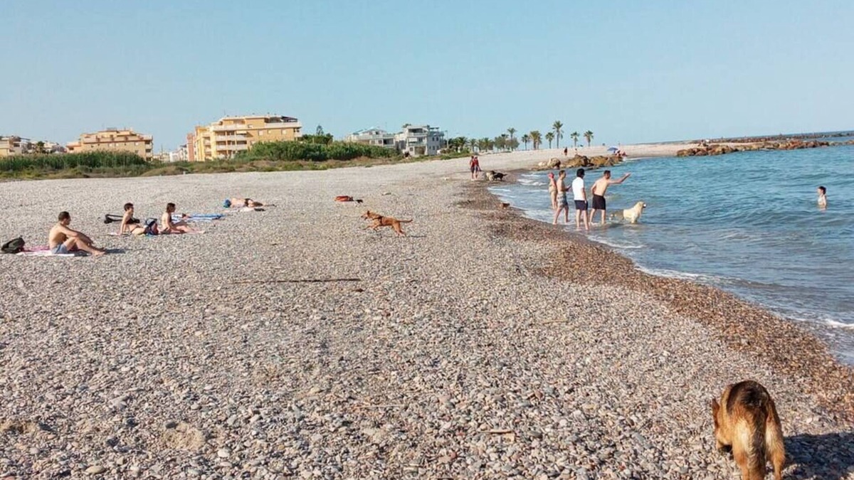 Moncofar Apartment | Pensión Benavente. 2 - (Playa 1,5km/AP7-3min)