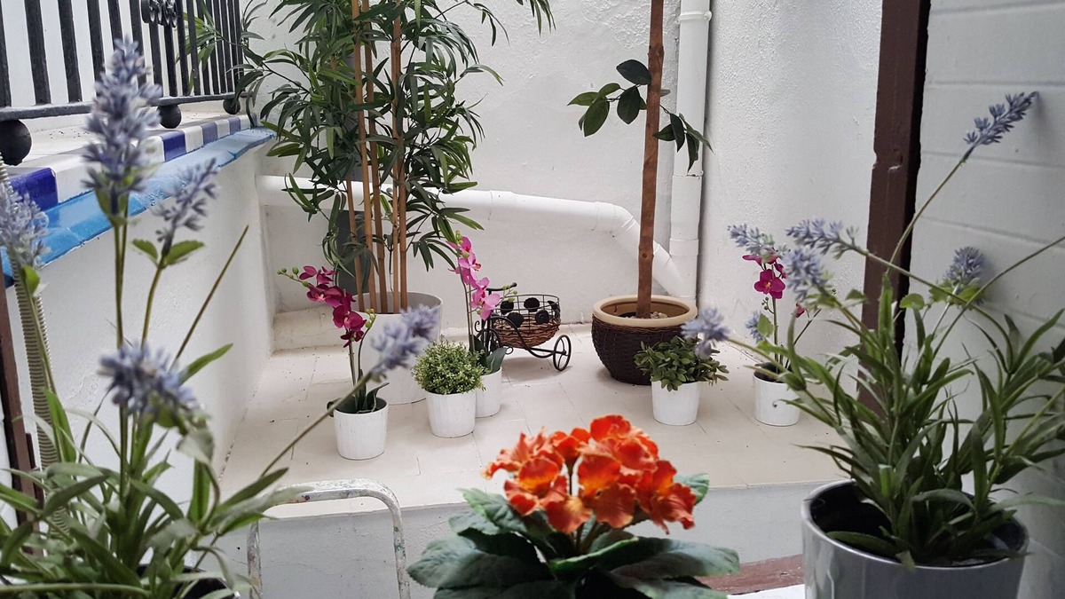 Museo House | Pensión La Giraldilla