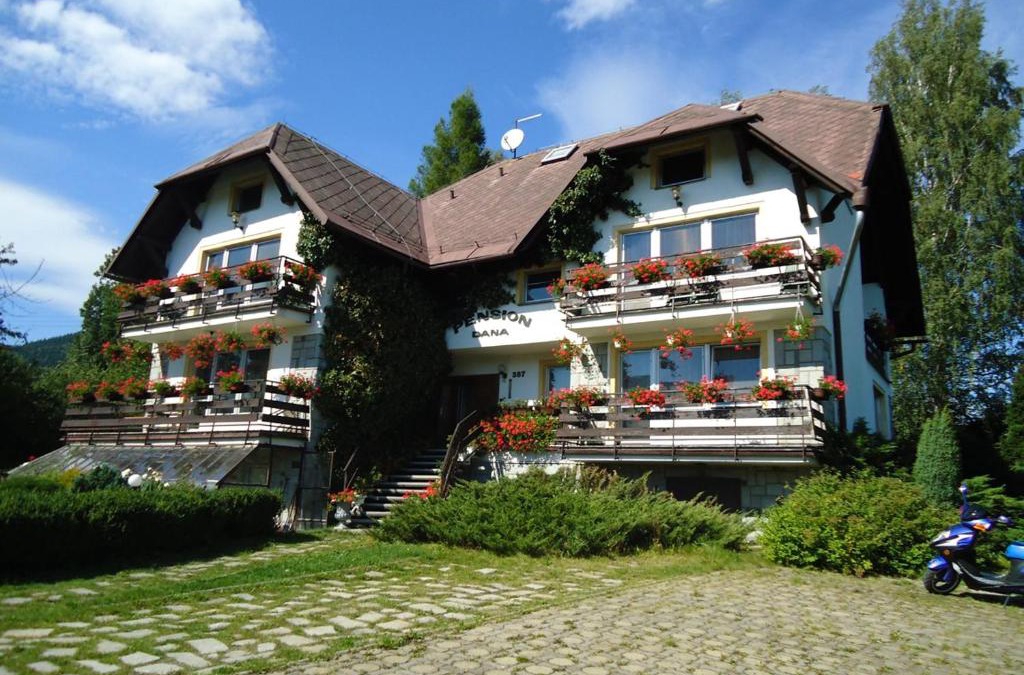 Vrbno pod Pradedem House | Pension Dana