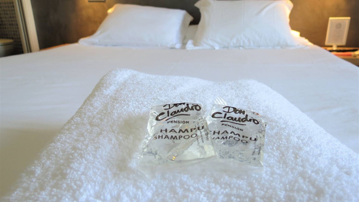 Zorrotza House | Pension Don Claudio