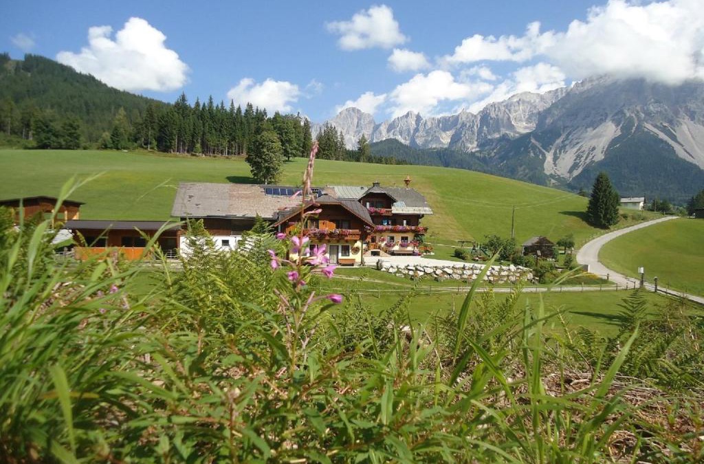 Ramsau am Dachstein House | Pension-Greimelbacherhof