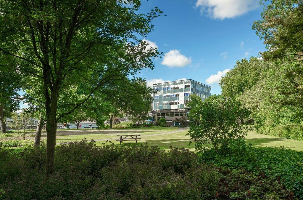 Oostelijke Eilanden en Kadijken Hotel | Pension Homeland