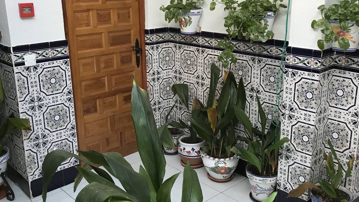 Malagon House | Pension Los Molinos