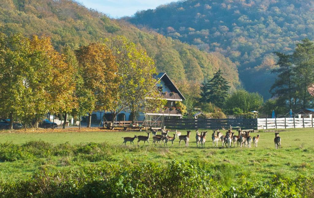 Handthal House | Pension Margarete