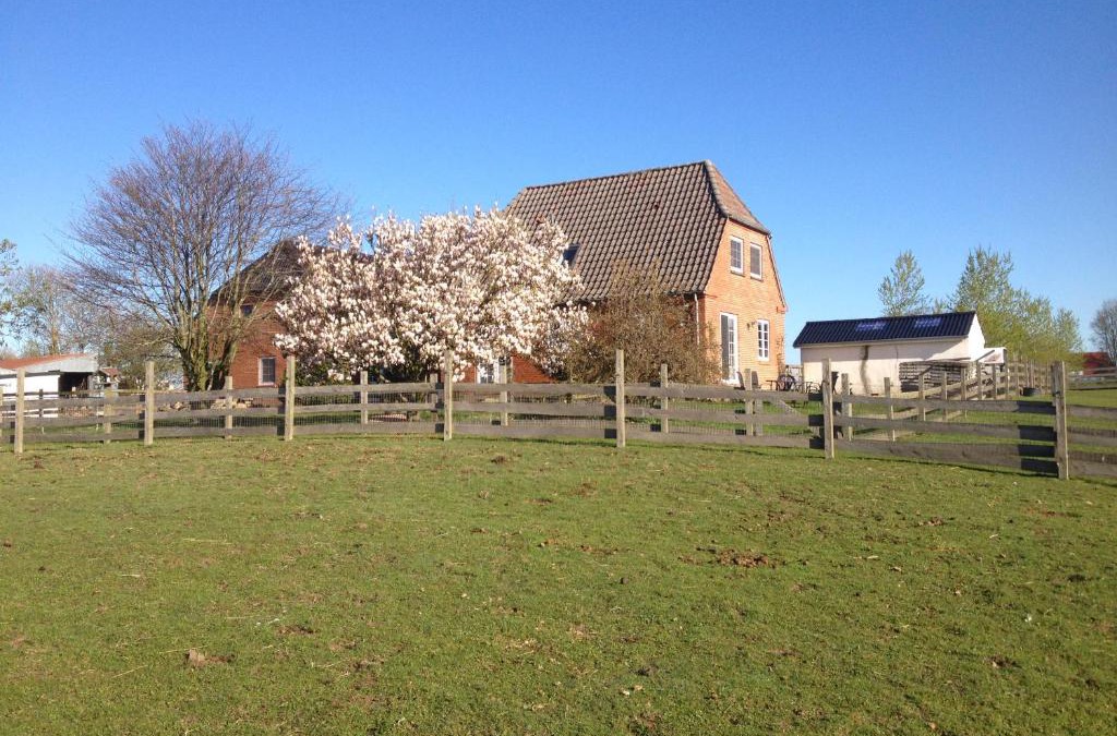 Tonder House | Pension Roager