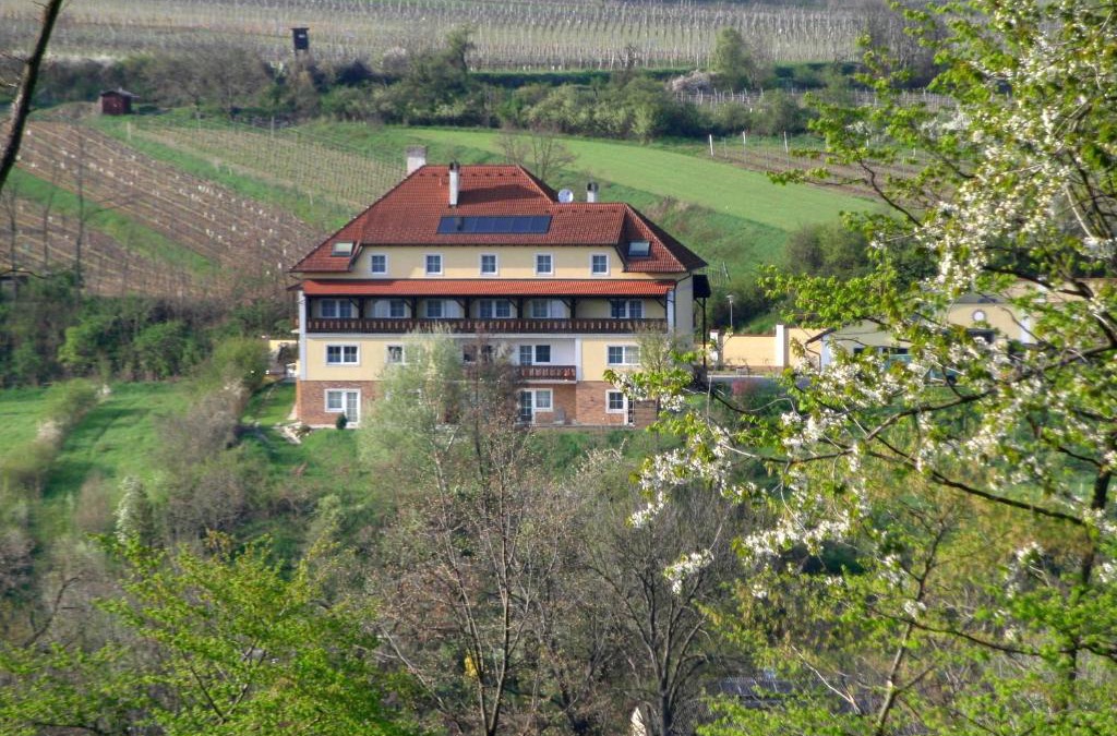 Pulkau House | Pension Rudi - Weingut Kellner