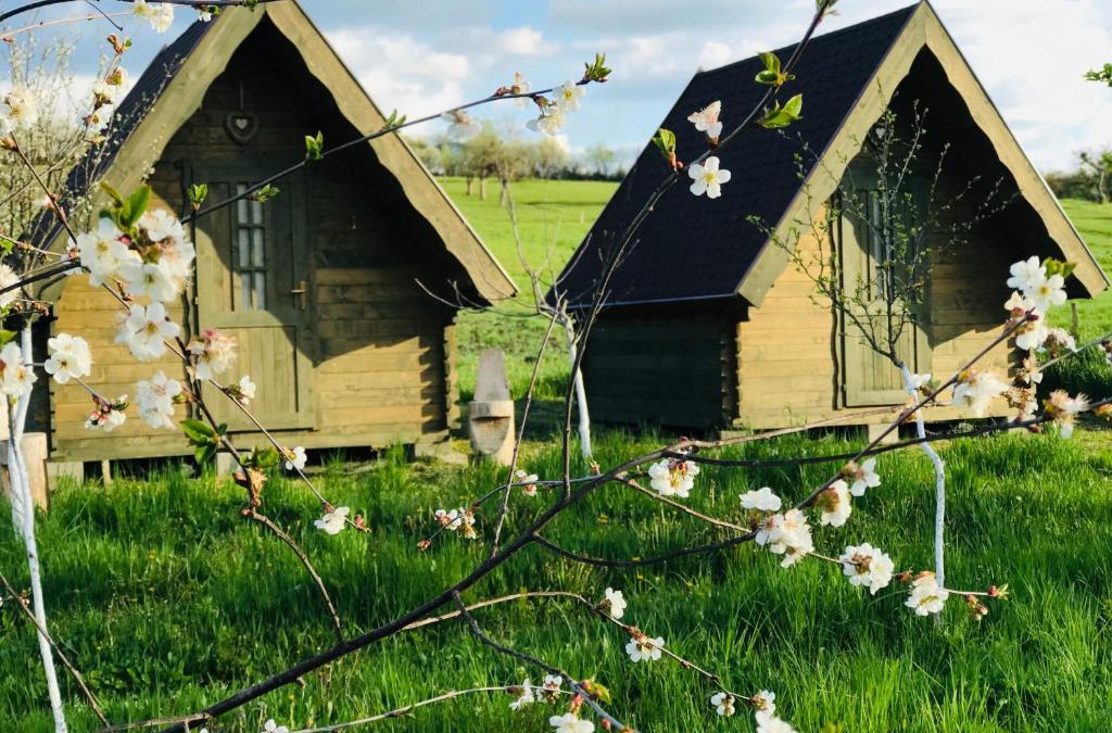 Crit Bed & Breakfast | Pensiune Rozalia - Camping