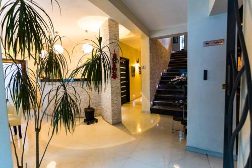 Tiha Bargaului House | Pensiunea Bradului