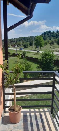 Valcea County House | Pensiunea Heaven Horezu