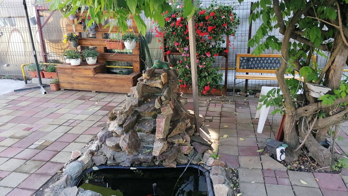 Curtea De Arges Bed & Breakfast | Pensiunea Ioana
