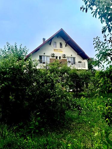 Surdesti House | Pensiunea La Meleta