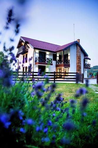 Bratca House | Pensiunea Lavanda