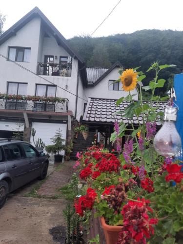 Tirgu Ocna House | Pensiunea Magura Ocnei