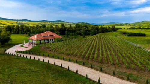 Sighisoara House | Pensiunea Sonnenhof