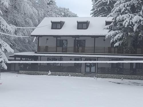 Avrig House | Pensiunea Vinatur