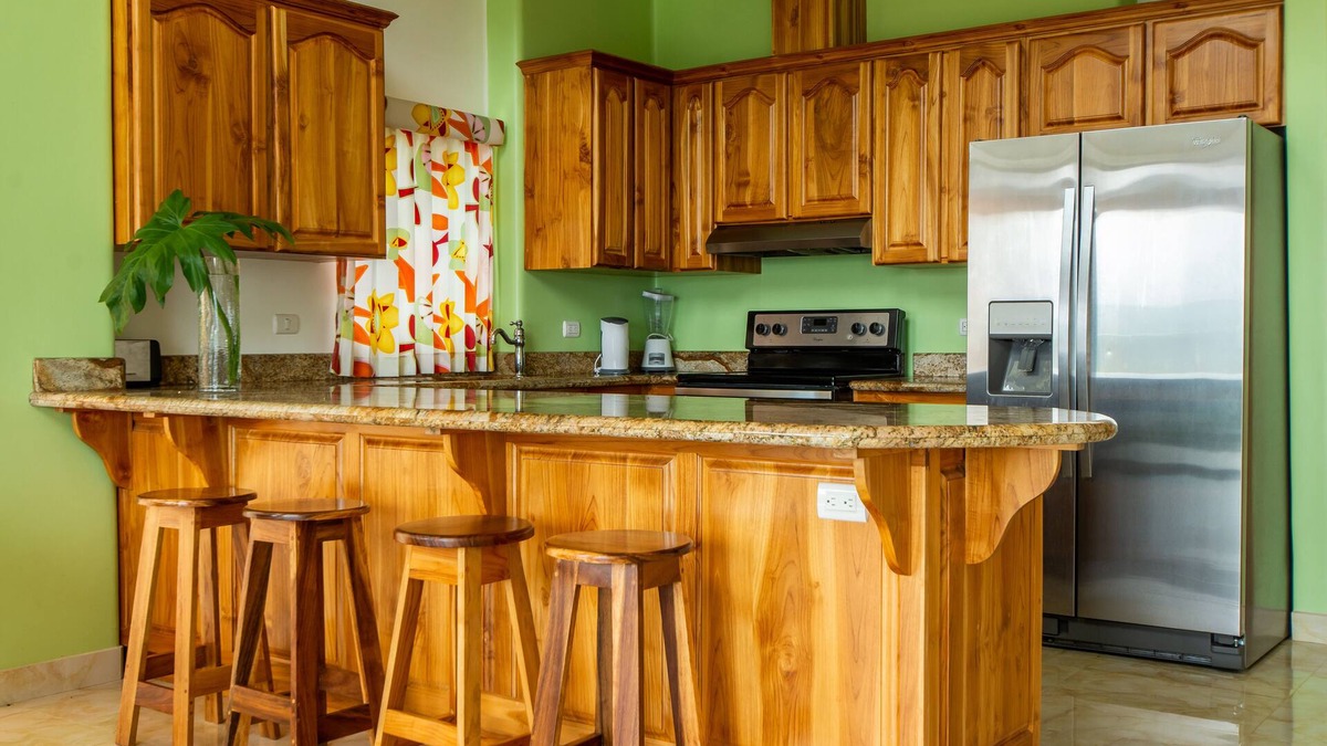 Naranjos Agrios Condo | PENTHOUSE AMAZING VIEWS LAKE ARENAL