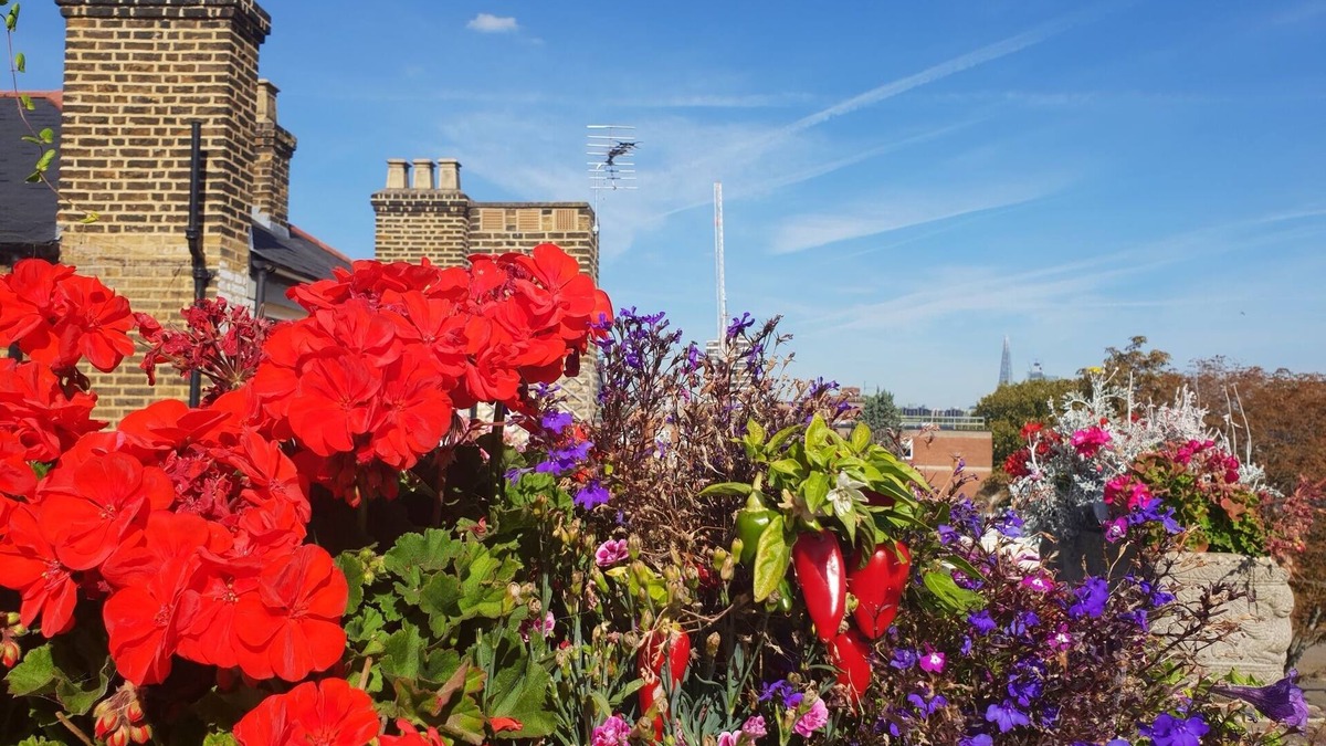 Camberwell Apartment | Penthouse Apartment With Large Roof Terrace