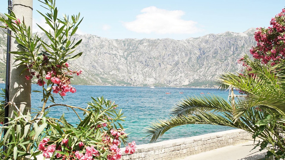 Donji Stoliv Apartment | Penthouse Stoliv Seafront terrace 5m/sea Jetty Beach 2:nd floor
