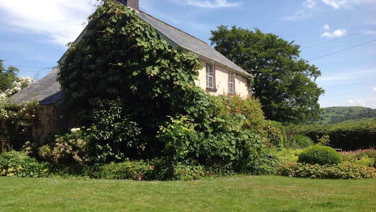 Machynlleth Cottage | Penycoed Cottage