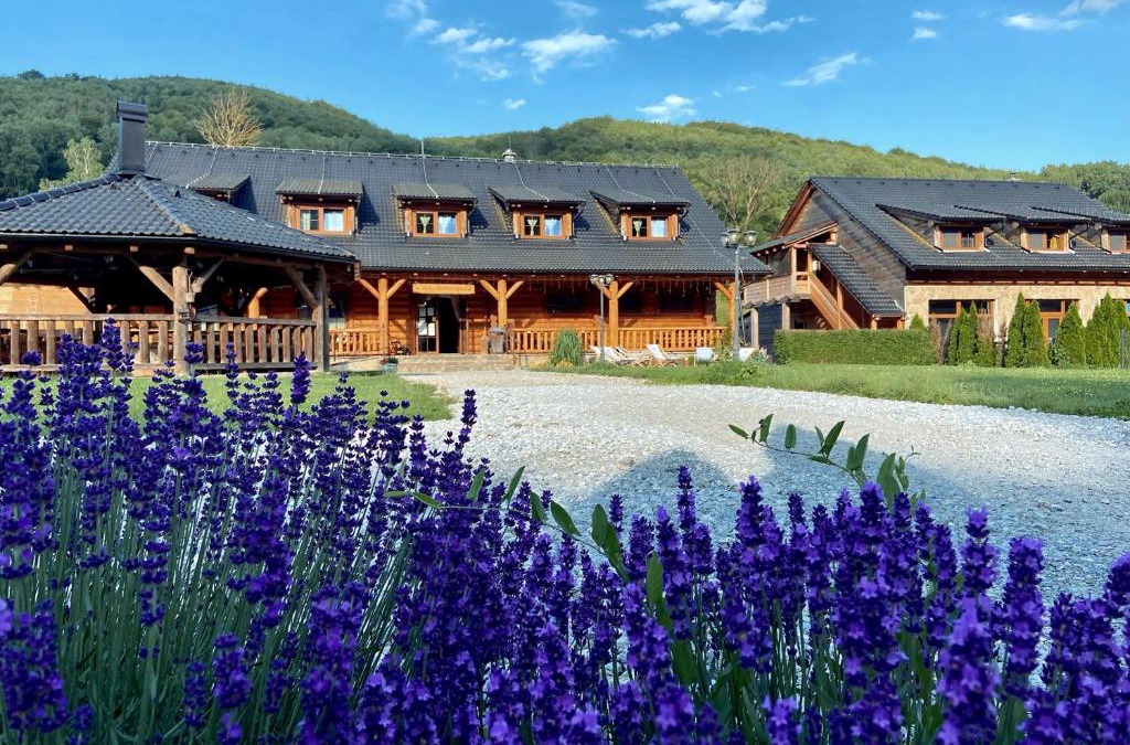 Vladica House | Penzión Driečna