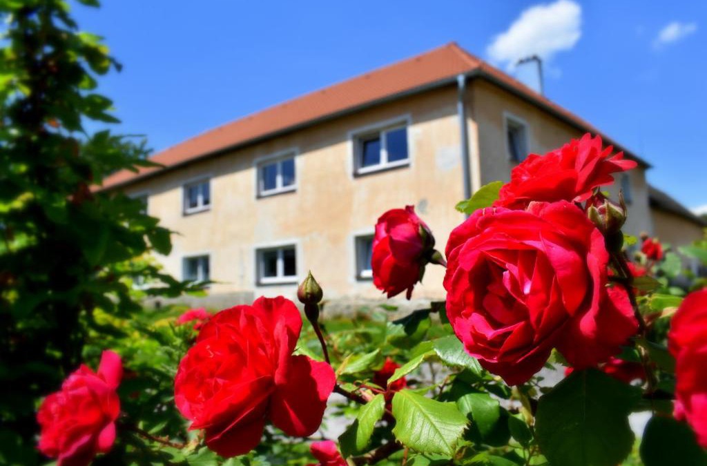 Bujanov Apartment | PENZION a FARMA NA BORŮVKOVÉM VRŠKU