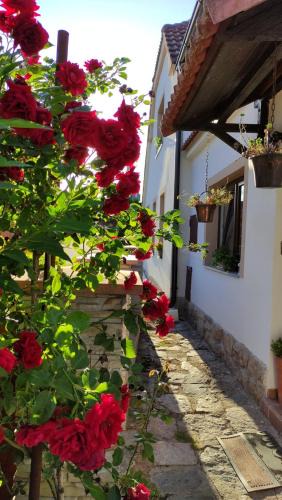 Ceske Budejovice 7 House | Penzion Chlumec