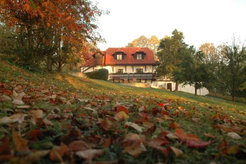 Hracholusky Apartment | Penzion Dvůr