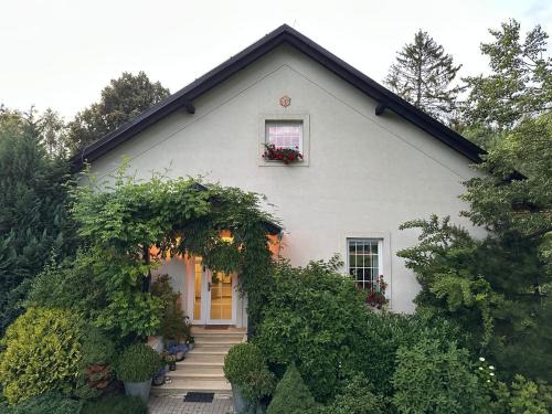 Tvrdkov House | Penzion Eisenberg