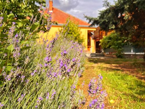 Jaroslavice House | Penzion Estetika