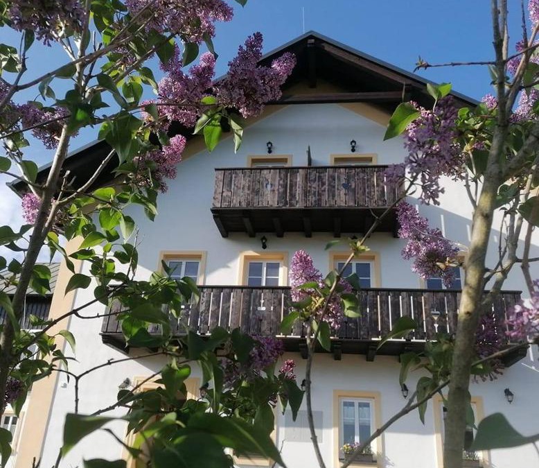 Srbska Kamenice House | Penzion Henke
