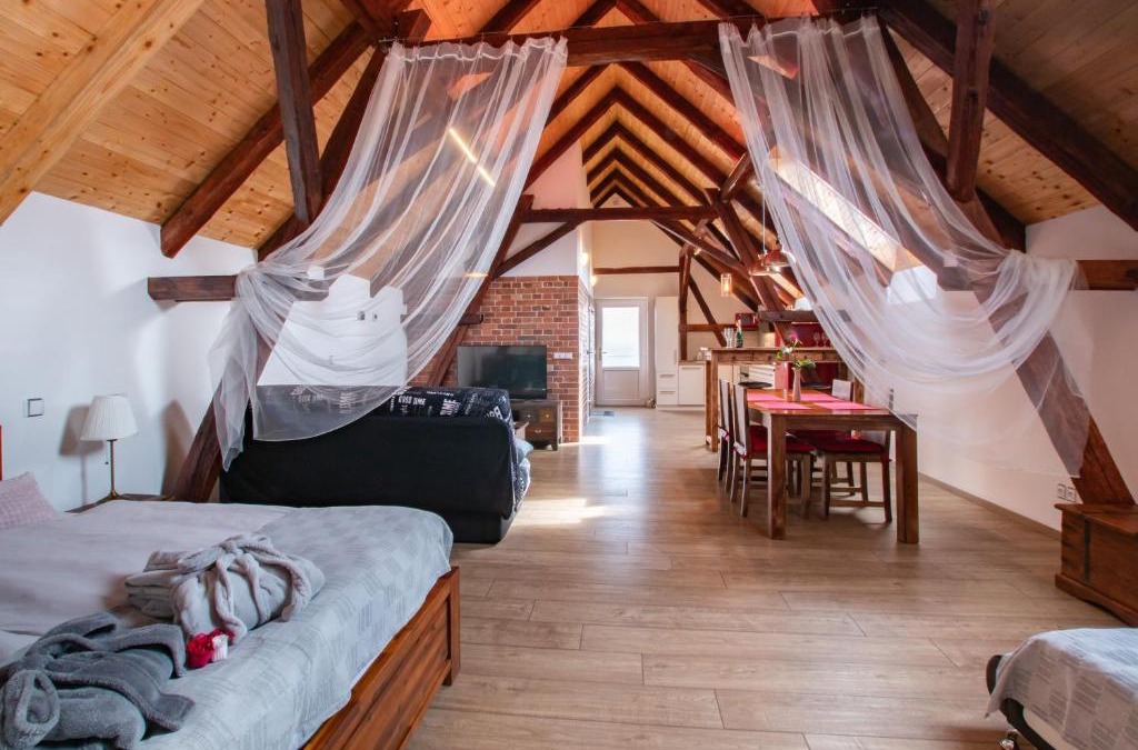 Plasy Apartment | Penzion Na barokní cestě Wellness & Spa