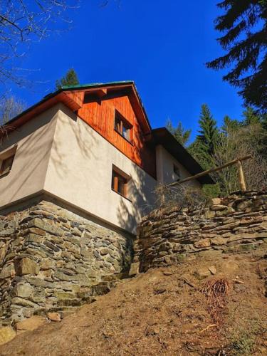 Rokytnice nad Jizerou Ski Chalet | Penzion Pichberg Horská chata