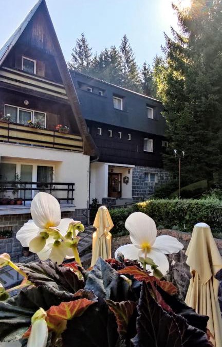 Manova Lhota House | Penzion Svojanov