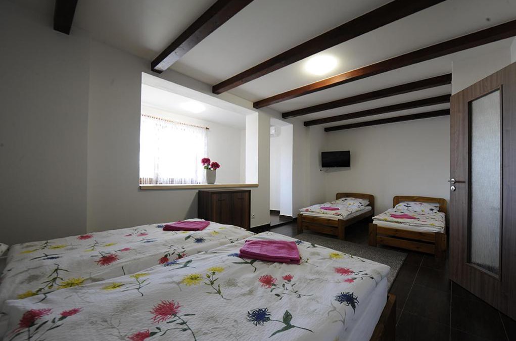 Moravska Nova Ves House | penzionMoravia