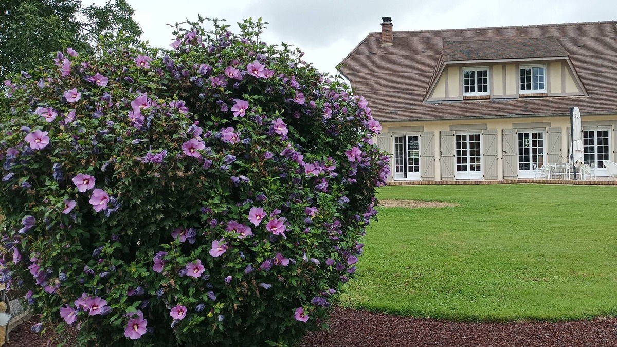 Malaunay Bed & Breakfast | PEONY ROOM
