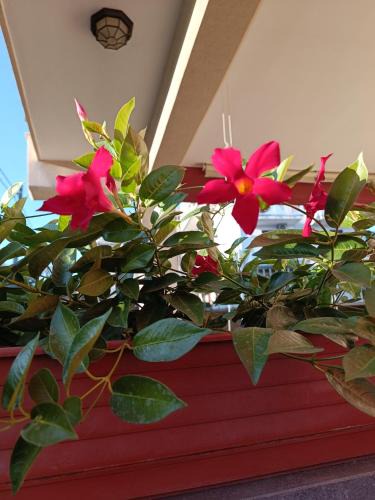 Gravina di Catania Apartment | Peppe's house